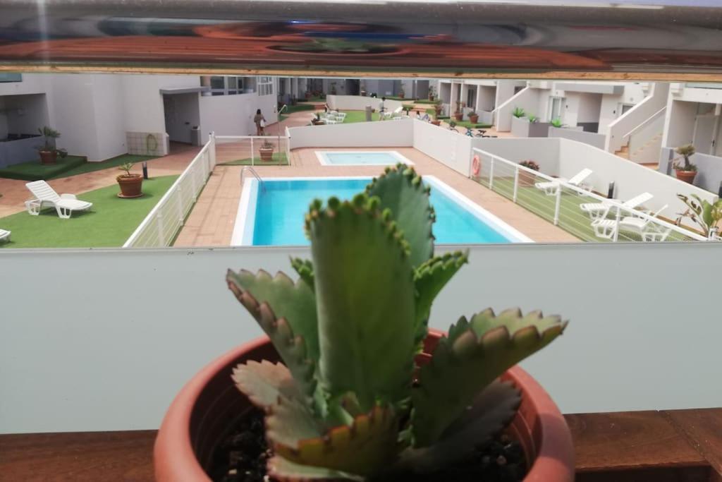 Blue Ocean Corralejo: Sunny Terrace, Pool, Wifi Exterior foto