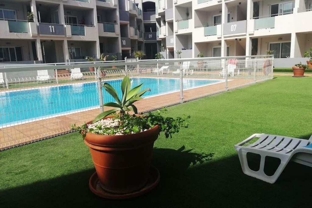 Blue Ocean Corralejo: Sunny Terrace, Pool, Wifi Exterior foto